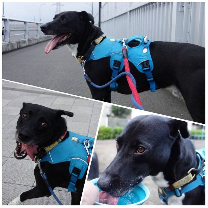 D5c60c11 bb14 4d2d 9c69 69a1b25aaed1 1626259355933