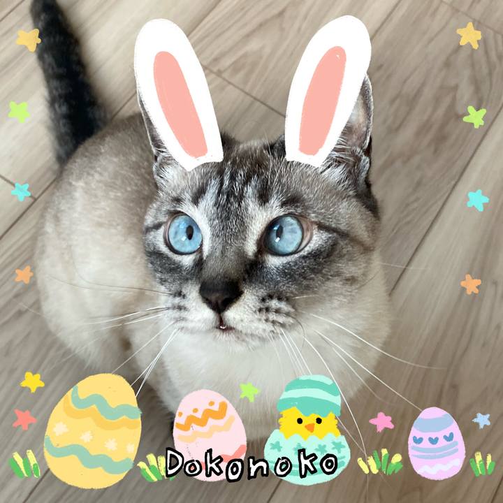 D5c6795b f4d0 4488 a87b cb887d95b25c 1712211663491