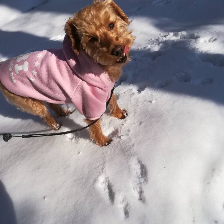 D5c6aaf8 4453 4446 8db5 c26af000500d 1553904519575