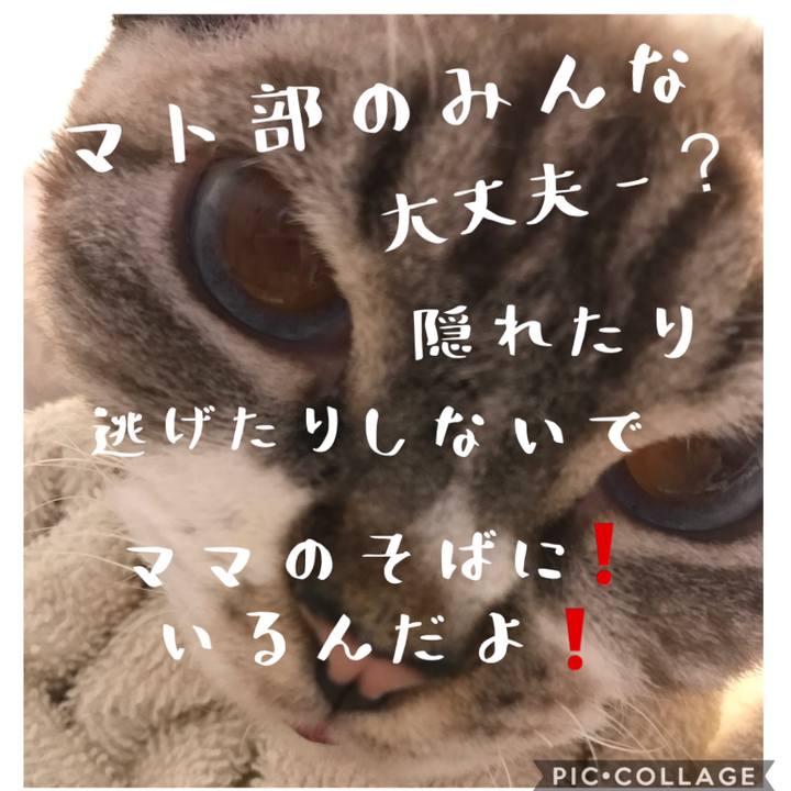 D5c6c7e6 0a35 4319 b97f 1a29e4fce14f 1613230730679