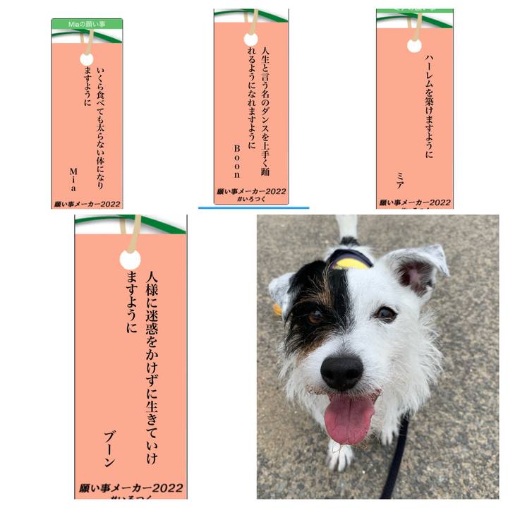 D5c6cbdf 8bc4 4206 9582 63304b8653d1 1656762678911