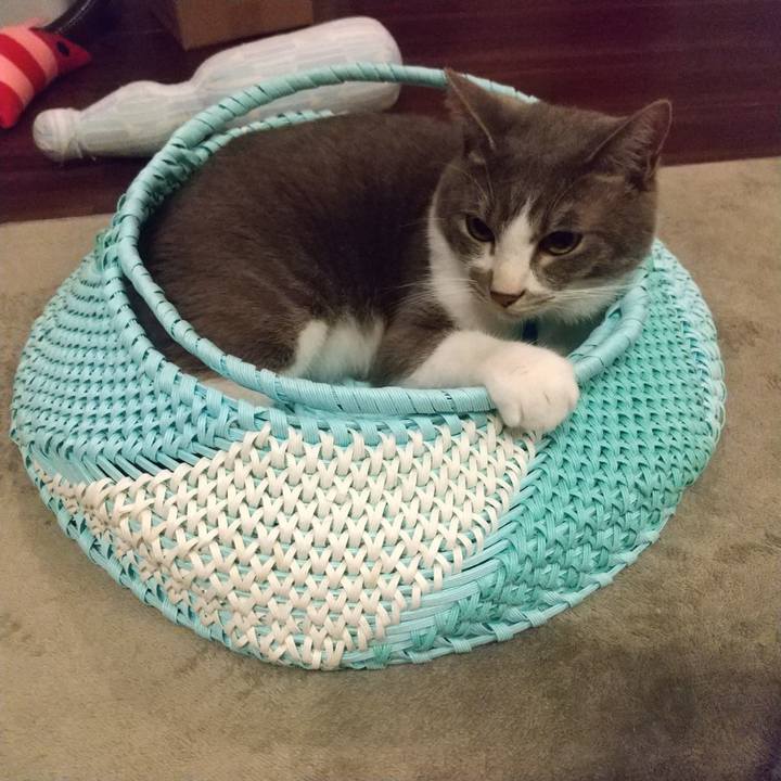 D5c6da35 074e 4fe1 bd28 059d55e7da99 1621606024312