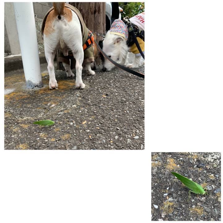 D5c6e2ae 638e 4068 b02a f94ca037b722 1603586539648