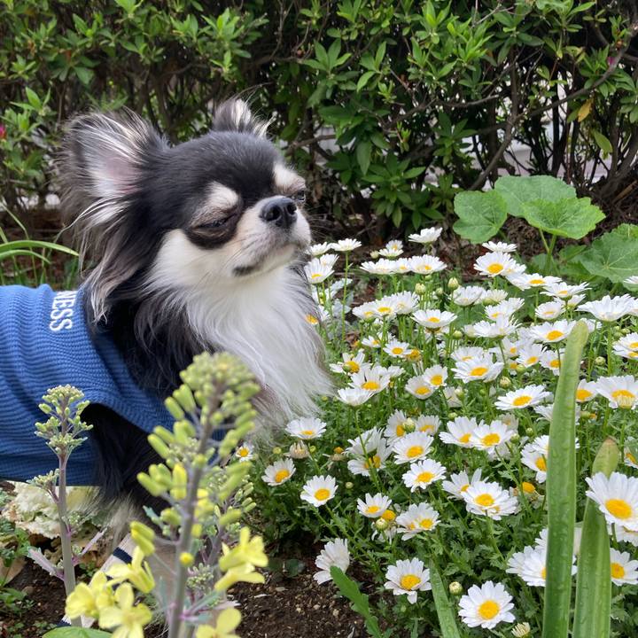 D5c6ea19 3346 4749 b7ec 8c1b687637bc 1617511813183