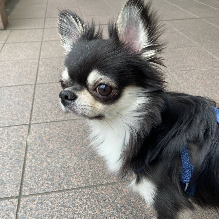 D5c6f6ad 4029 4048 bc4f da4604c20bd8 1621741753103