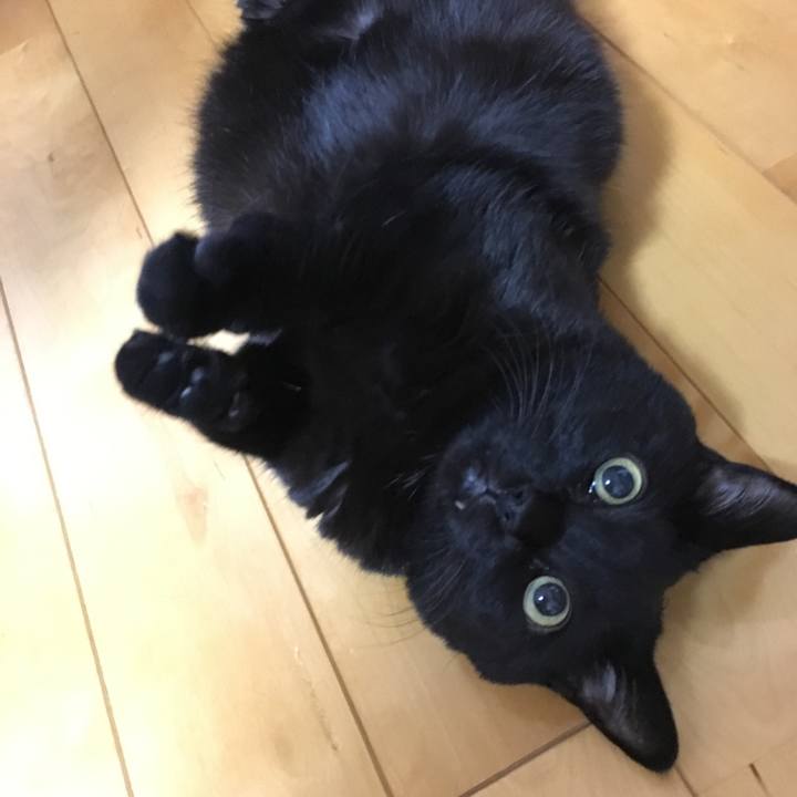 D5c70970 7836 4392 b281 7e8852269fd8 1538308972407