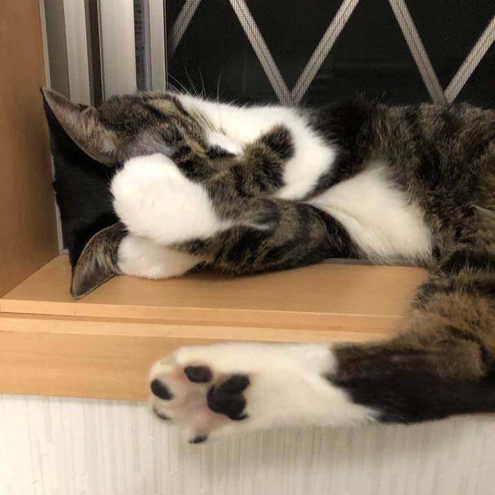 D5c72b5e 4542 4d84 bb06 3741e4191f41 1533263397449