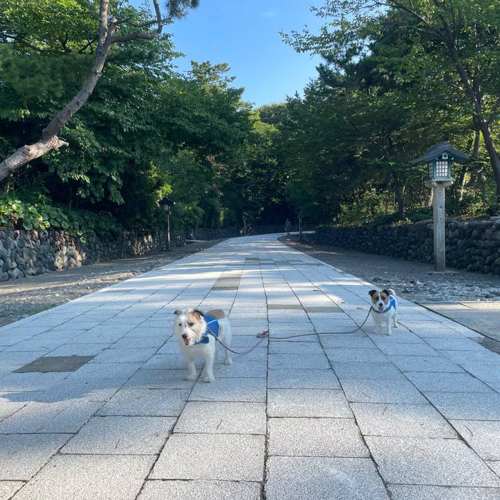 D5c75fef dd75 4b0c bec5 0d15e7baacc8 1756682609884