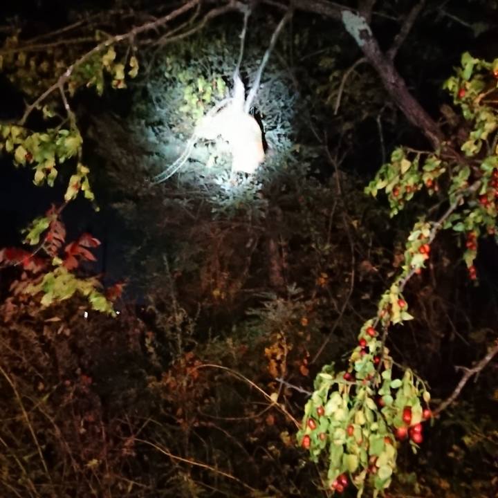 D5c760a1 8ba9 4fb2 8087 125caaaa7c2e 1636111864388