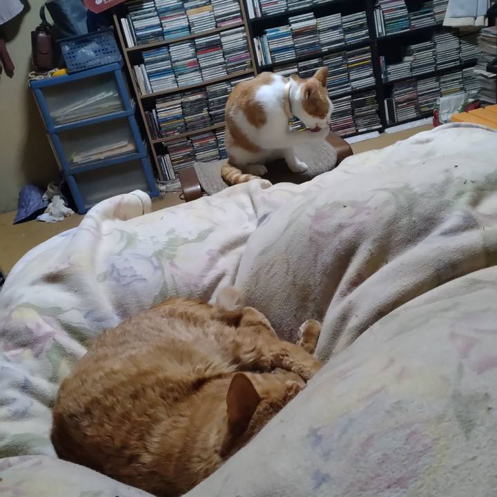 D5c77957 b187 4847 a69e 75446f79c99c 1732448583674