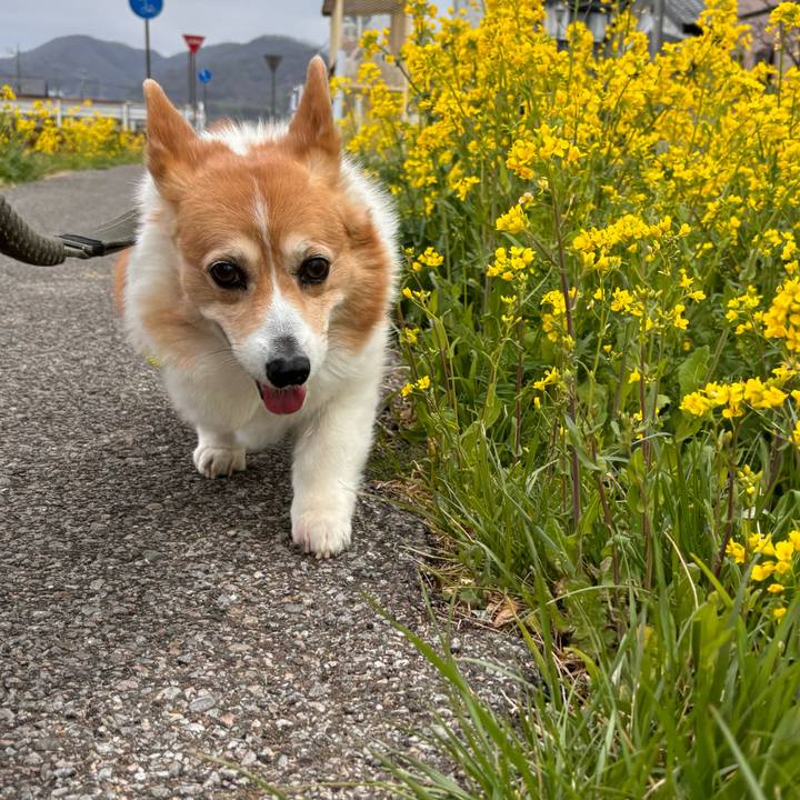 D5c79473 4df3 4d29 bdaa c1e3b99795a0 1774399889772