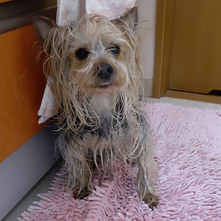 D5c7a3a9 1c52 4f10 bf7d e899c26bd45c 1617200045288