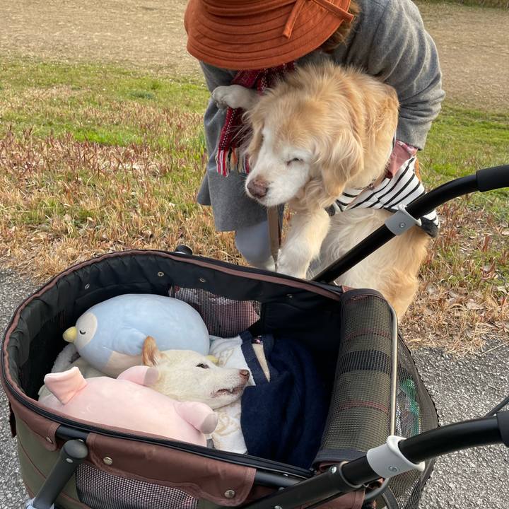 D5c7b41d de53 4682 a2d2 3d766e78c7f0 1674123692557