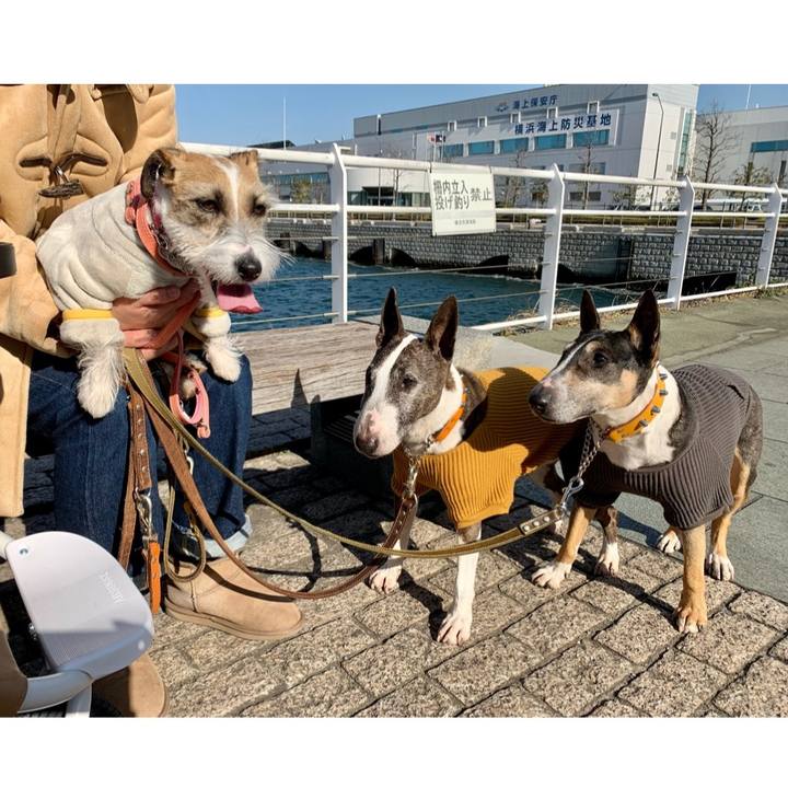 D5c7b8a3 0696 40ad 8d2e 2bc2b3189cde 1613047814693