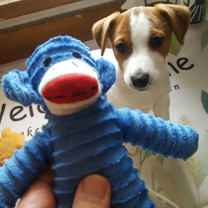 D5c7cedb ca18 4dc0 a8d5 08afdfb25005 1550732850762