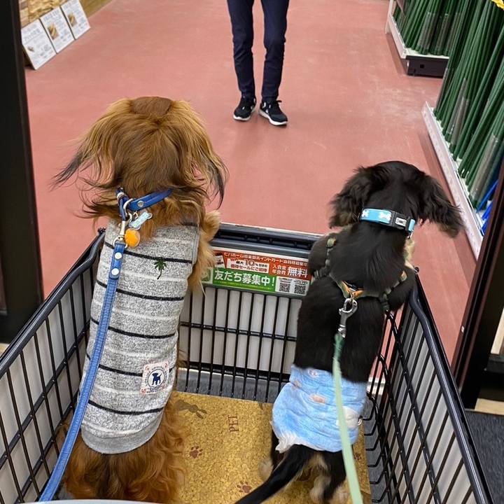 D5c7cefe 9343 4390 8c67 8751180f2bcd 1669588370902