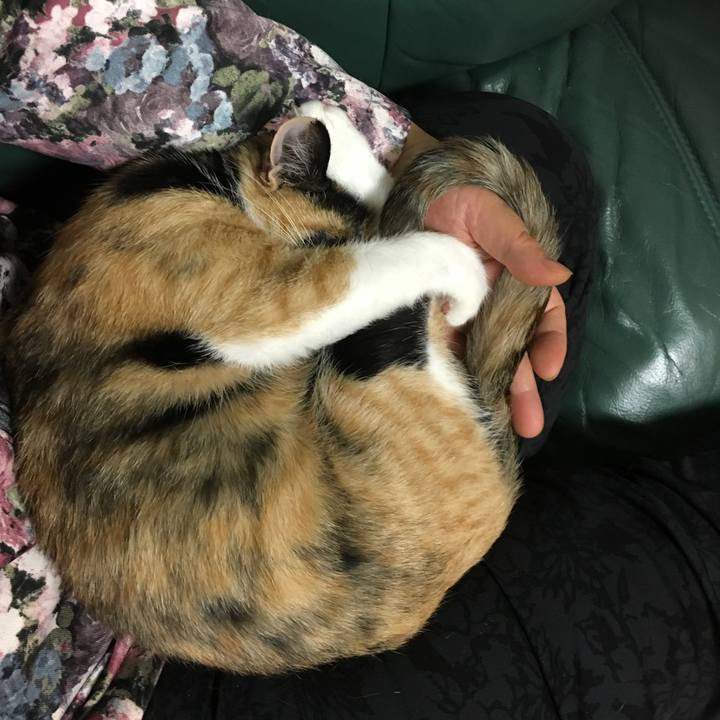 D5c7e7ad d74e 4b16 ae14 9a2d6c544775 1509885052550