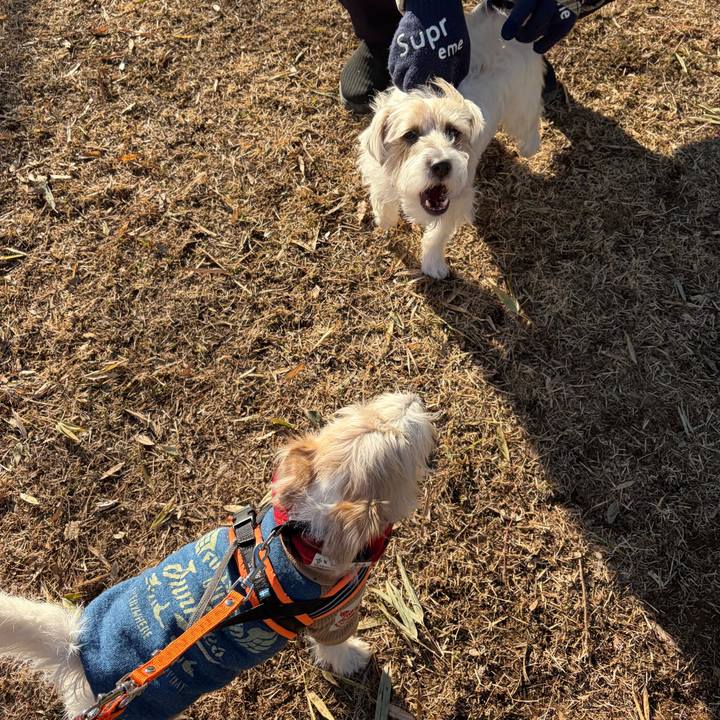 D5c86cce bf4f 4b36 a86e d3fe51b531e6 1769232662639