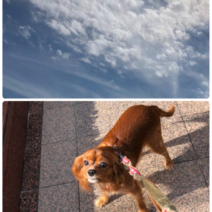 D5c8c310 5d21 45cc 9e65 338e9ae91afc 1539395709623