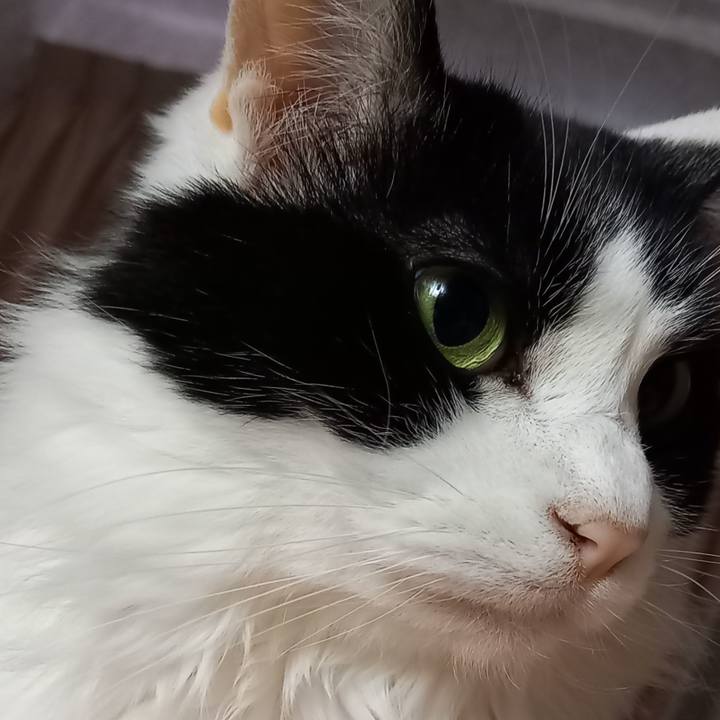 D5c90b0e 7835 4468 ad81 a3fc38908777 1653707124136