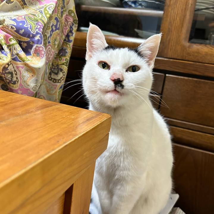 D5c92275 ace7 4372 8089 be33053d80da 1769164952013