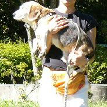 D5c94c72 4ba7 4b08 939c 7026c6fb0955 1655252907523