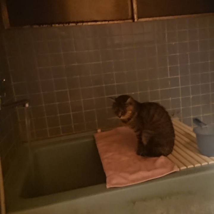 D5c95c52 ece9 43ec 9c30 55eefafe06ca 1579598230812