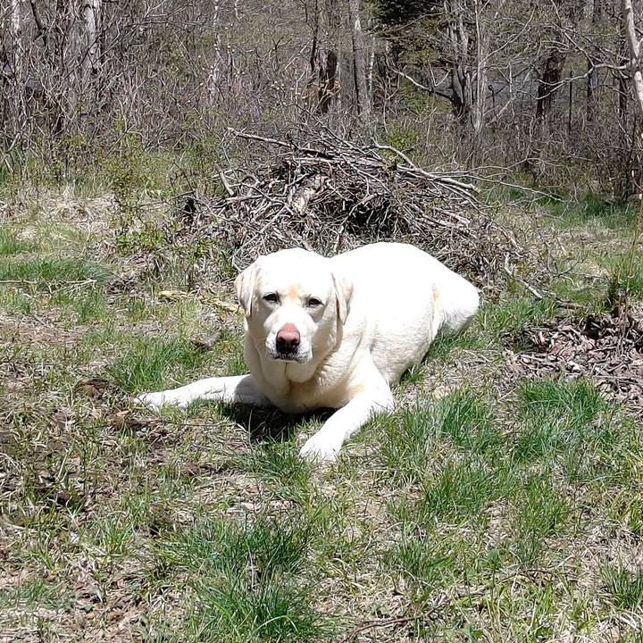 D5c99417 a0c0 42ac a4cc 7628f61d1fa1 1652153516113