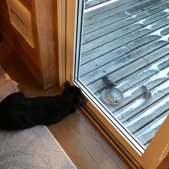 D5c9afc4 8f1c 4cd3 b583 e26b542303a5 1579212123992