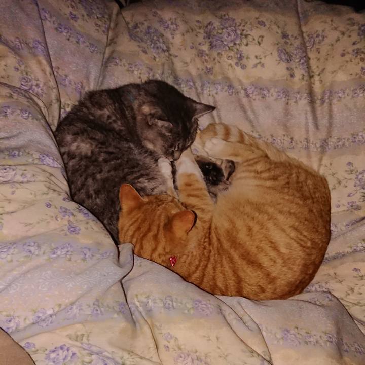 D5c9bd69 144e 4ba4 9430 2f2bf956b0a2 1576765443274