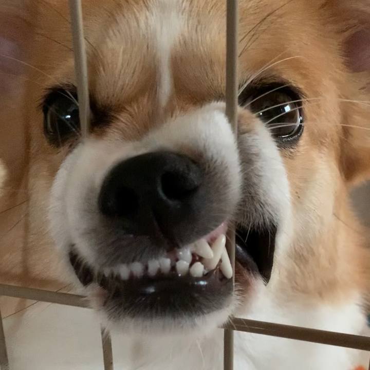 D5c9e76d a718 47da bd1b 26c0237bee02 1594517644561