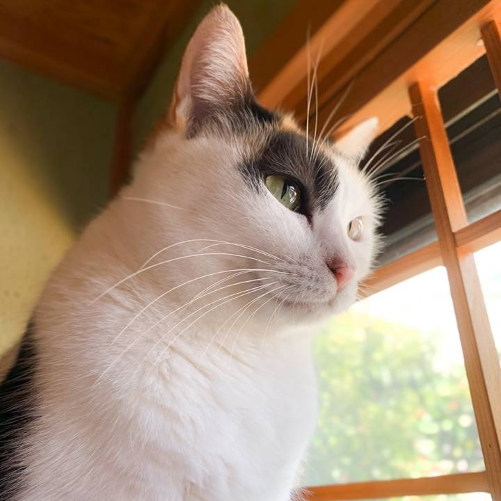 D5ca1b57 3fa7 4aee bc42 e76b1214afdd 1574752035348