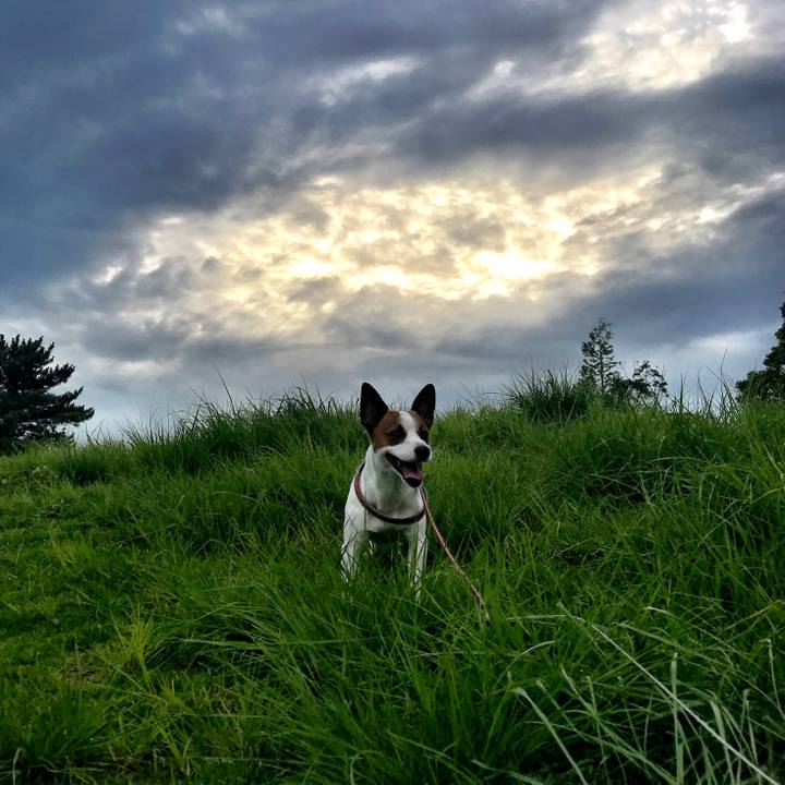 D5ca5335 cfd7 4b95 97be 09a632554ce7 1531335732935