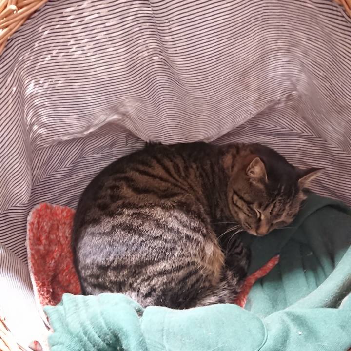 D5ca58c8 add8 4c9a a1d9 e2e30c8d4403 1644354235827