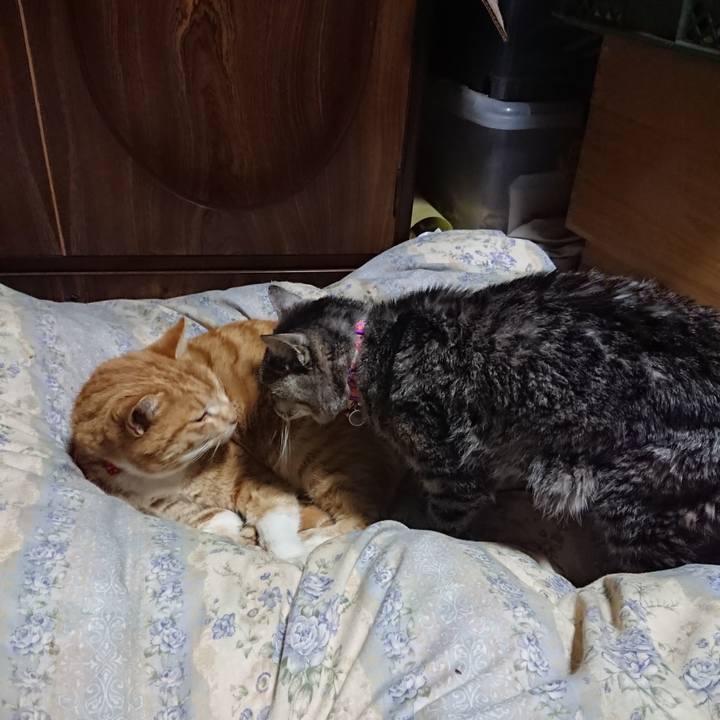 D5ca69c1 a299 44db 8314 6af1007a8f4b 1579434923022