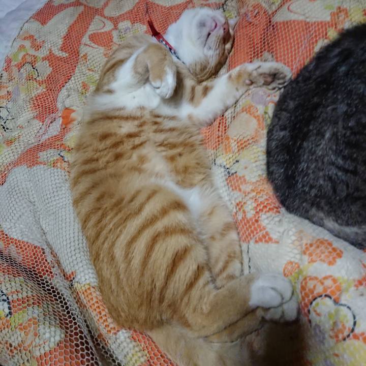 D5ca7e3c a256 4554 b8c4 c039f4dc9c70 1570111879609