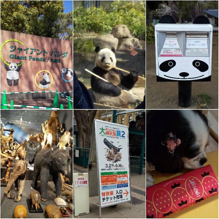 D5ca910d 00b3 4ffe 8966 fc1a3658690a 1554296257481