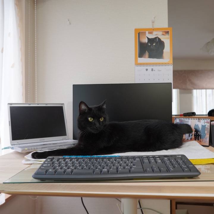 D5cabd99 63e6 439c 9004 24b3b99c64f4 1596294158997