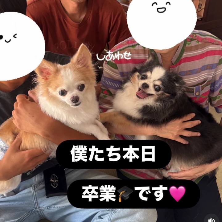 D5cb0de1 87dd 4922 b5a7 71ea5dd55fc6 1756616265619