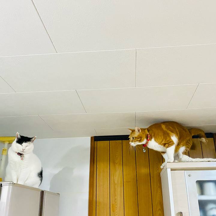 D5cb1426 e633 4f2a b36b 9f1f5a240381 1733287389239