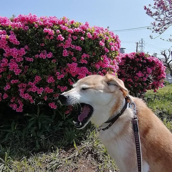 D5cb1e10 babe 4e7a 9363 b39deed32ddc 1618014083115