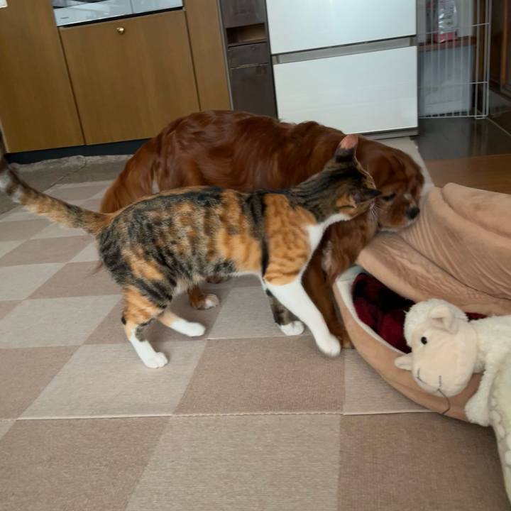 D5cb200b cec3 486f a976 028177334688 1664749380363