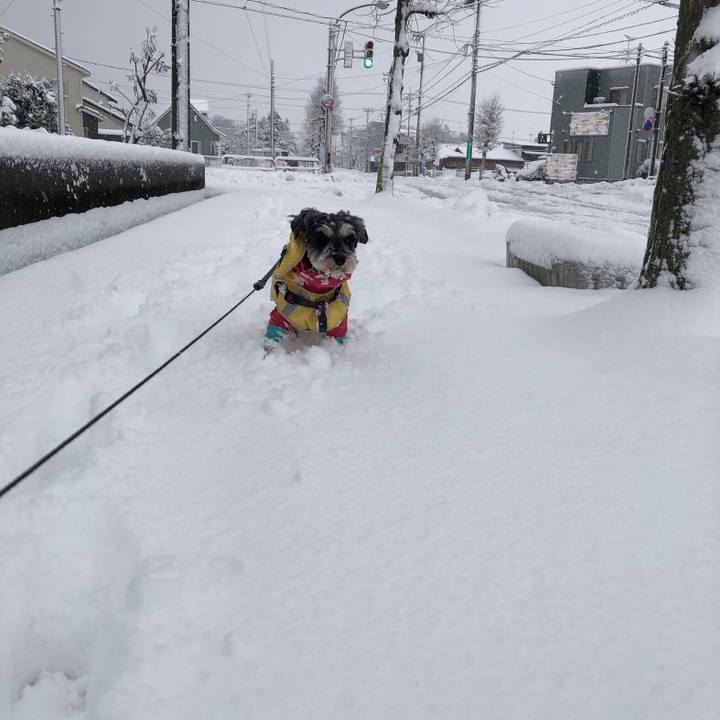 D5cb30a0 4652 4e8b b62d d741ae1ade92 1640914567673