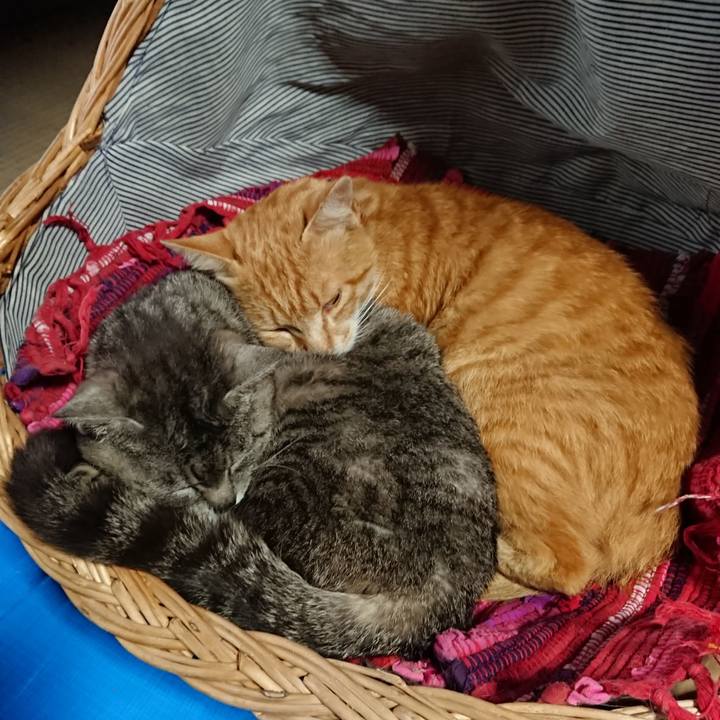 D5cb3458 801d 41e0 8b5b 9f013dd573b5 1560575291813