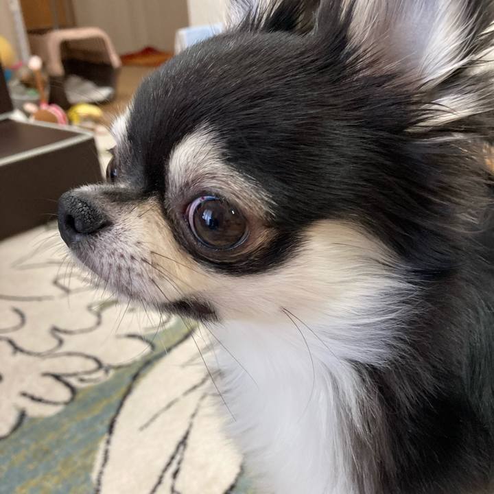 D5cb3efa b036 4fe5 9448 c04b6f3ed92c 1621053745260