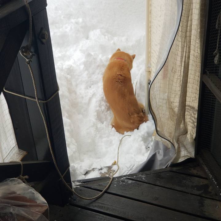 D5cb406f 4428 420d bec4 8fd8fa60a6fe 1739097089962