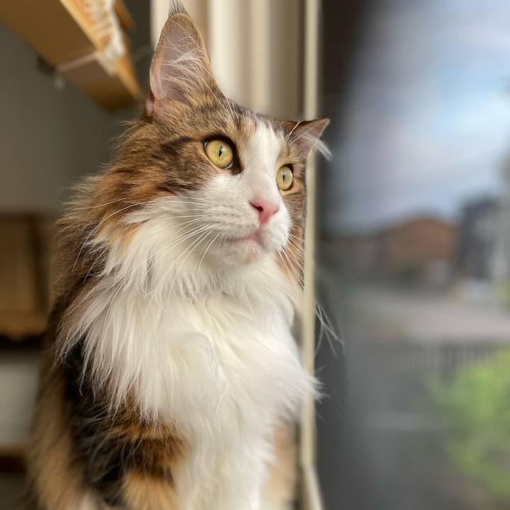 D5cb443b 091b 4b98 a516 3d72142d1195 1656754151814