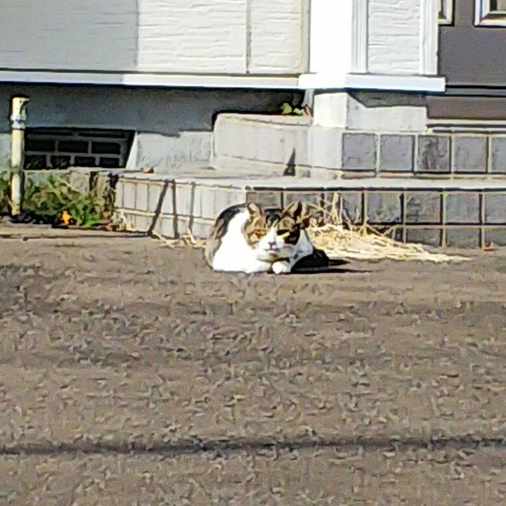 D5cb7109 5163 4a93 98b3 c5aecb656c21 1666415364765