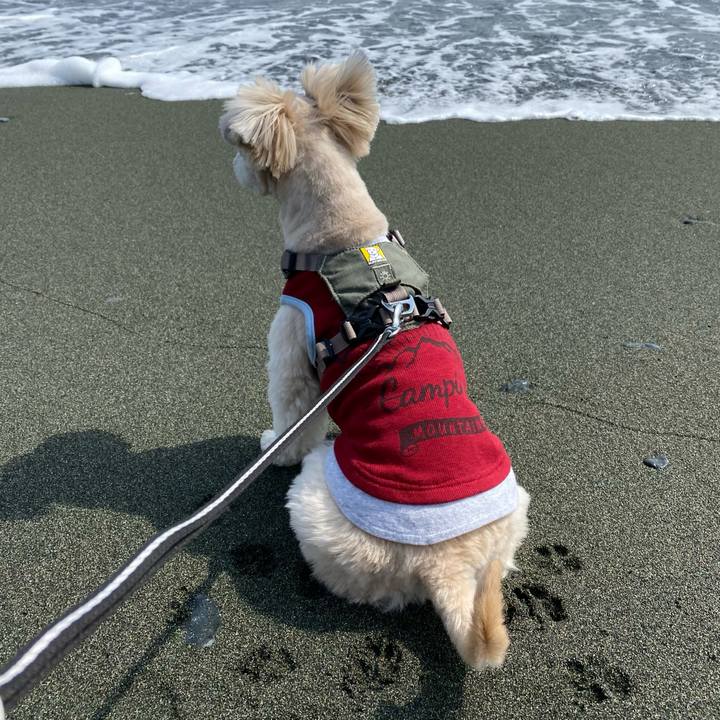 D5cb809c 46f0 4186 bdbd 5f2d2ac427e2 1647168762883