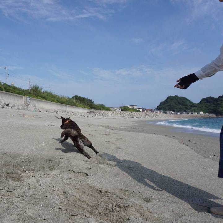 D5cb8ee6 eb78 4320 9cfa 29ac5af80367 1530889818607